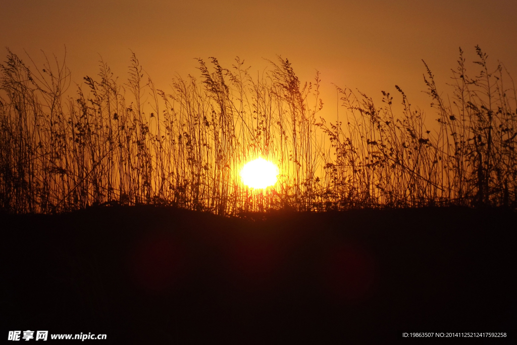 枯草伴日落