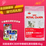 宠物用品主图  淘宝主图模板