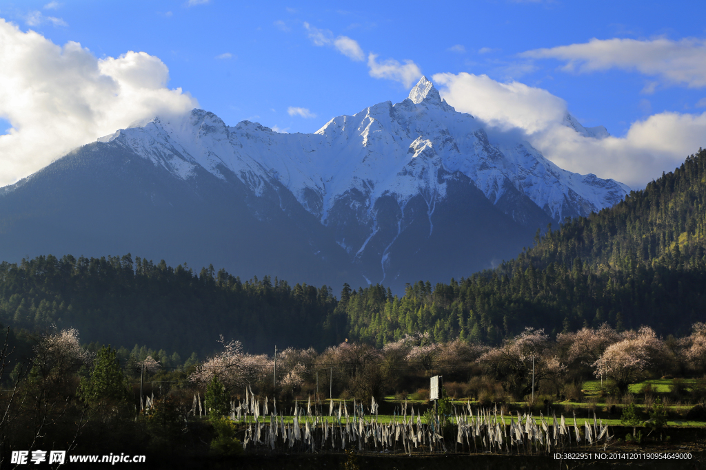波密风景 自然风景