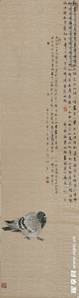 花鸟国画 闲庭信步