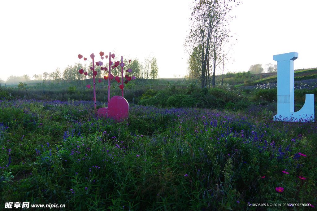 秦岭风光花的海洋