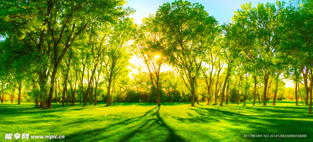 奥林匹克公园风光