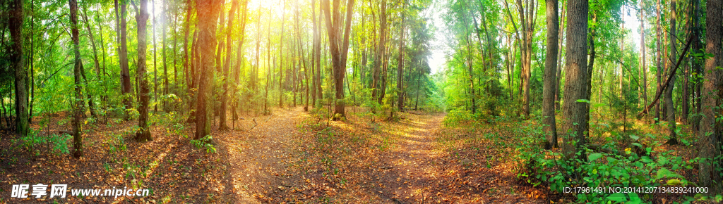 奥林匹克公园风光