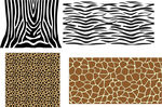 动物皮纹豹纹矢量图