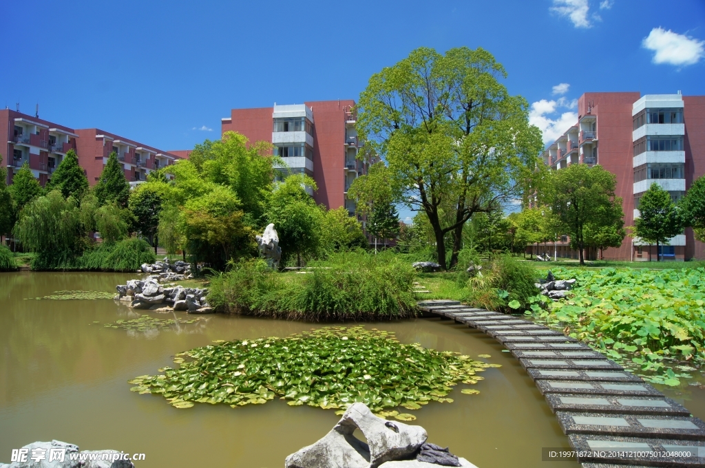 金华职院夏日风景