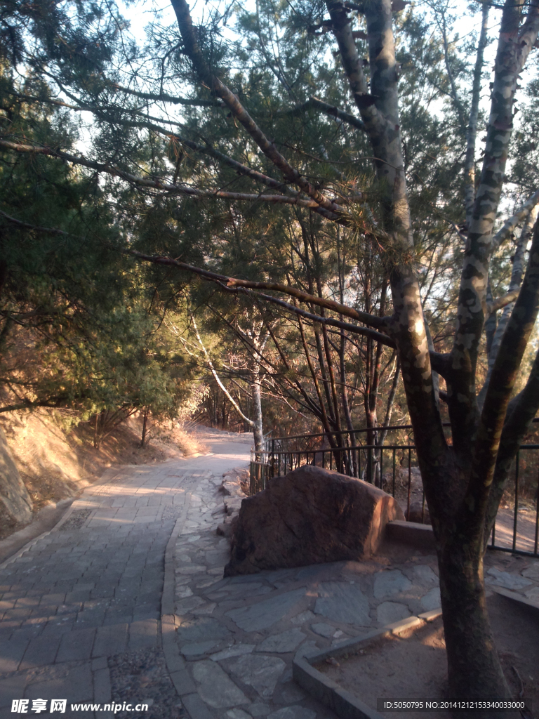 颐和园山林小路