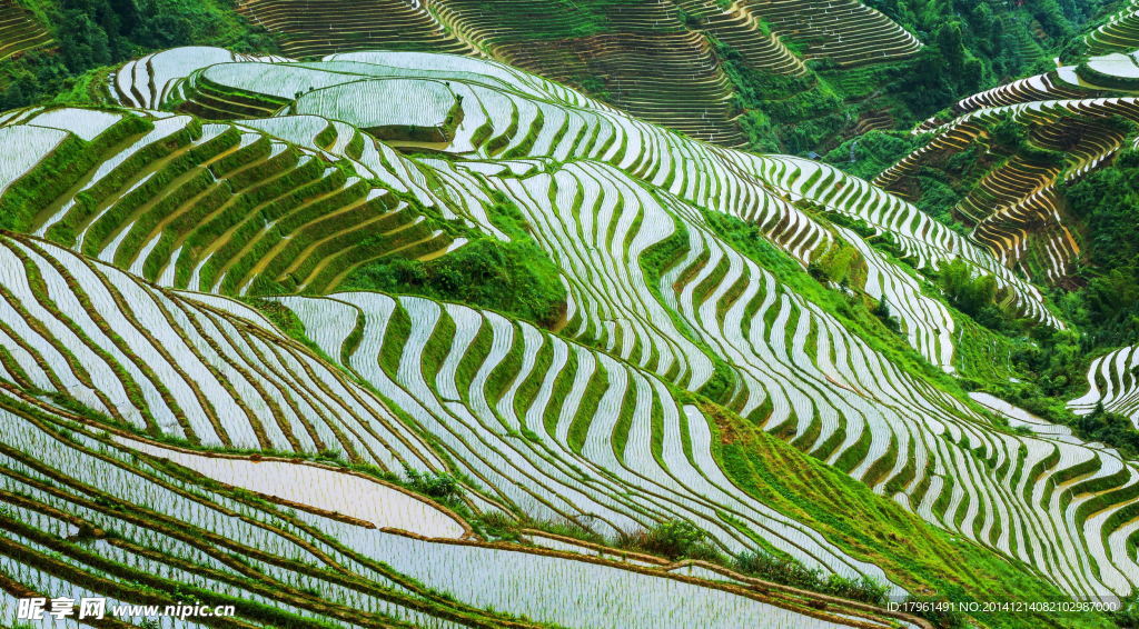 广西龙胜梯田