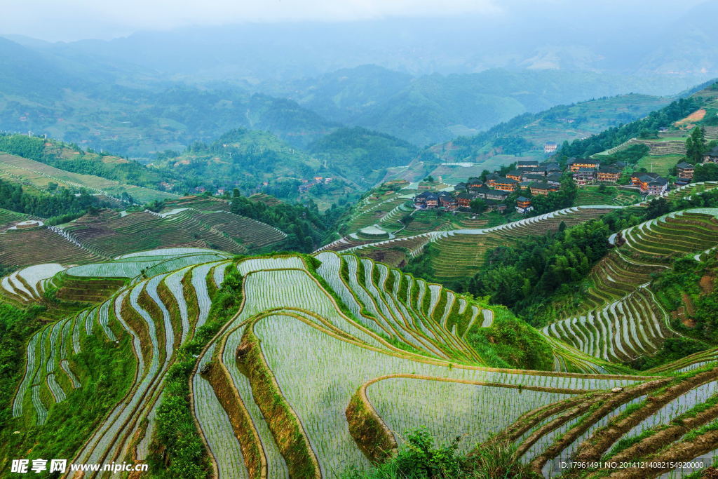 广西龙胜梯田