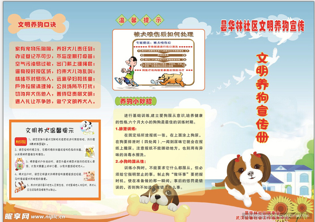 文明养狗宣传册