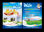享天然鲜奶吧蓝色宣传彩页