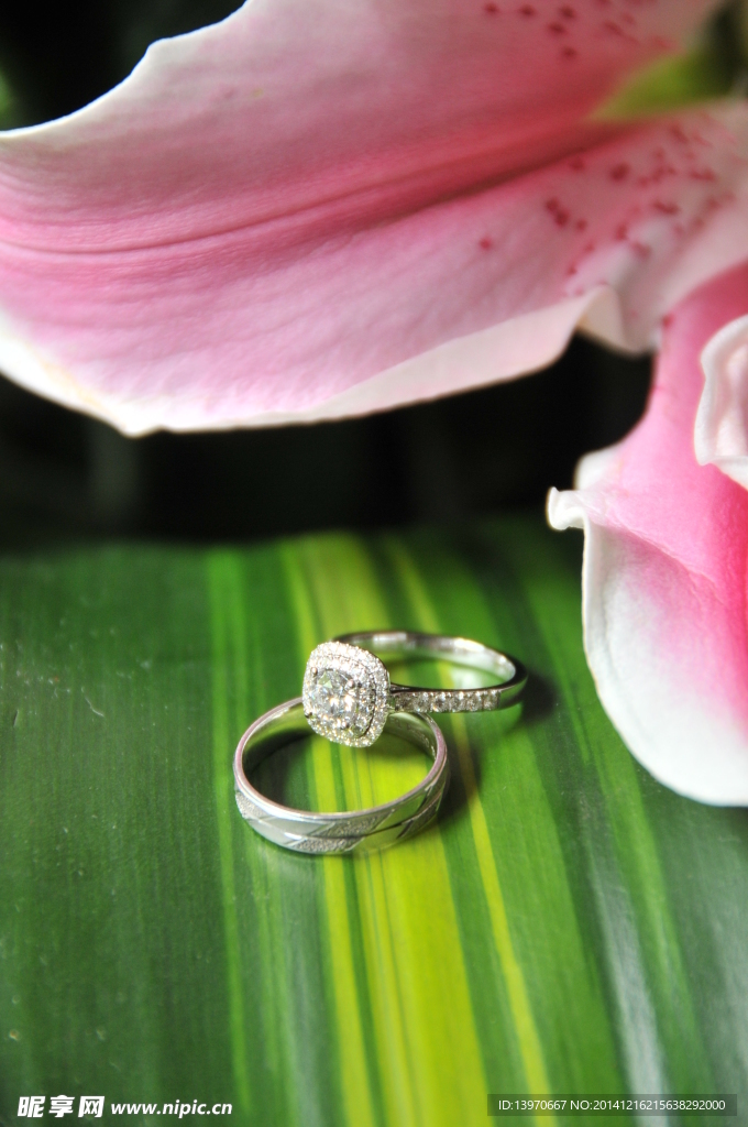 百合花旁的钻戒