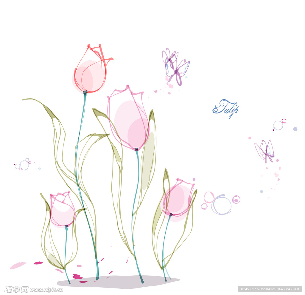 手绘矢量郁金香线条花朵