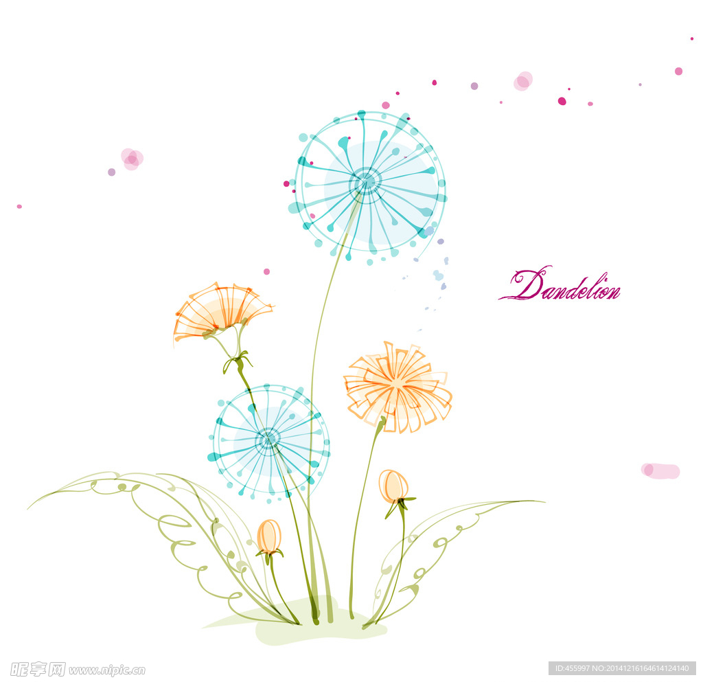 手绘矢量蒲公英线条花朵