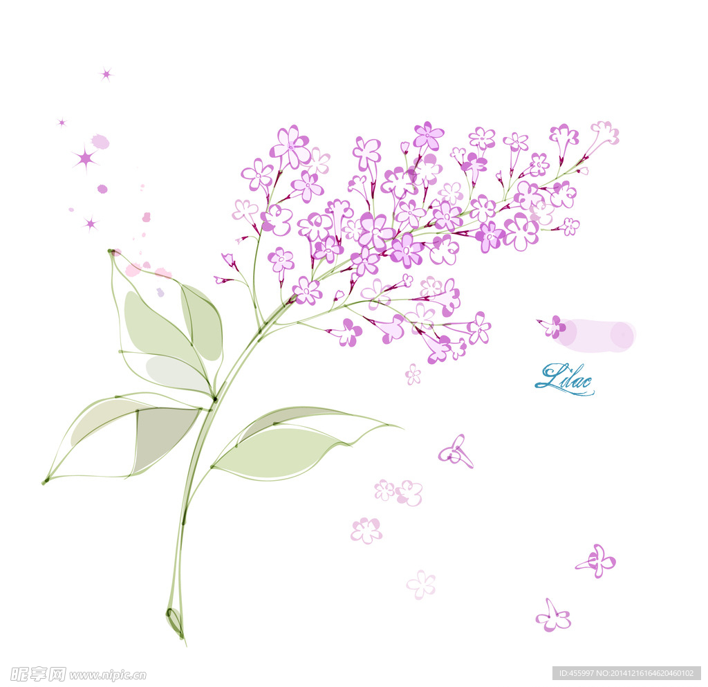 手绘矢量丁香花线条花朵