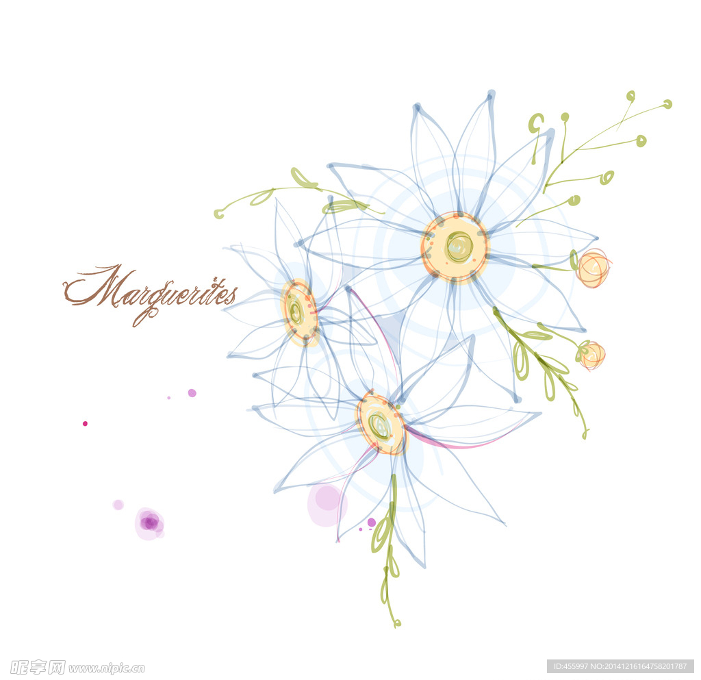 手绘矢量雏菊线条花朵