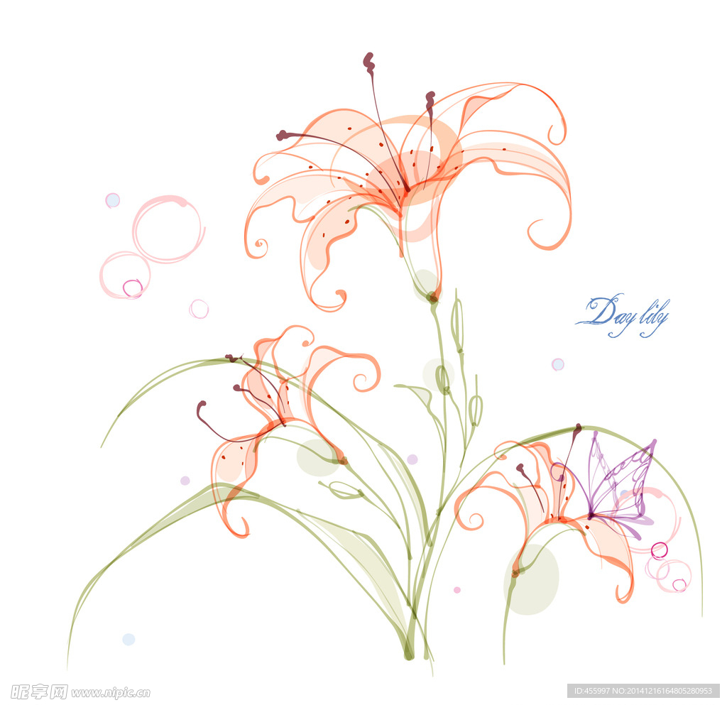 手绘矢量黄花菜线条花朵