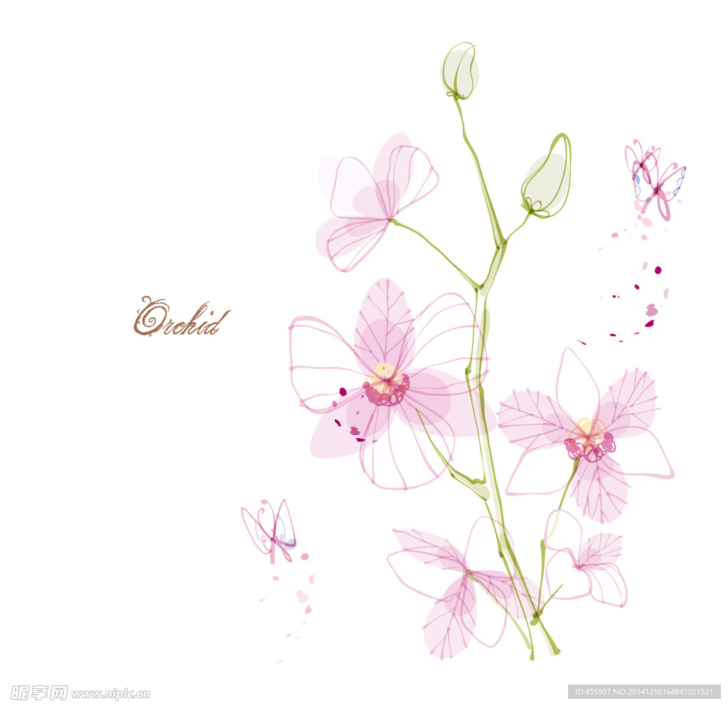 手绘矢量兰花线条花朵