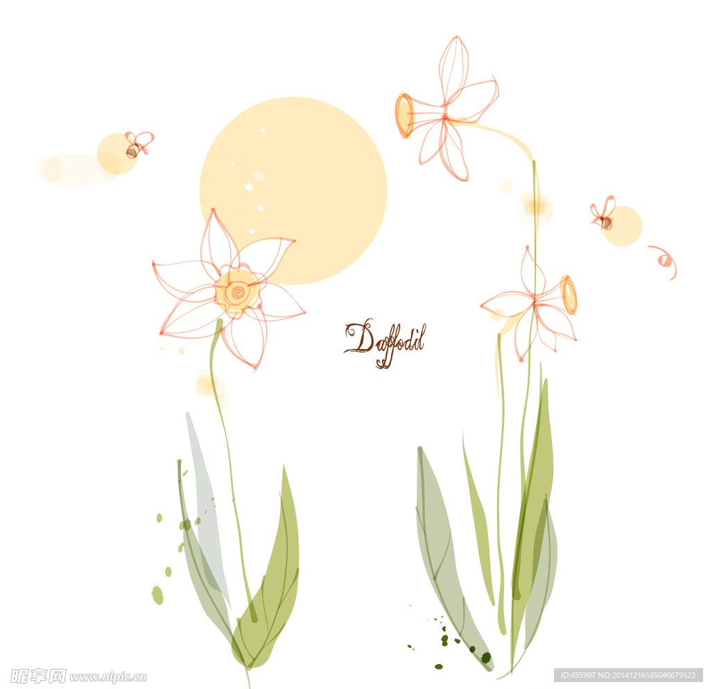 手绘矢量水仙花线条花朵