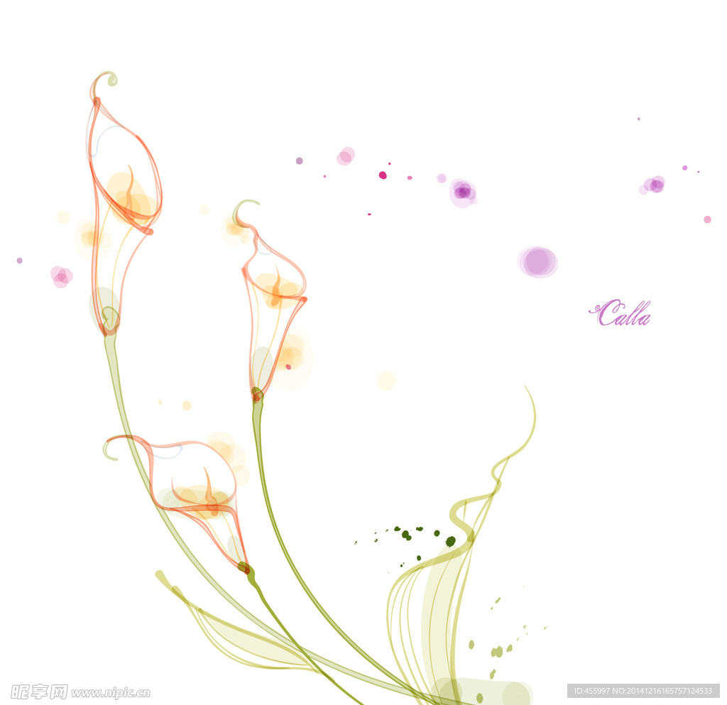 手绘矢量马蹄莲线条花朵