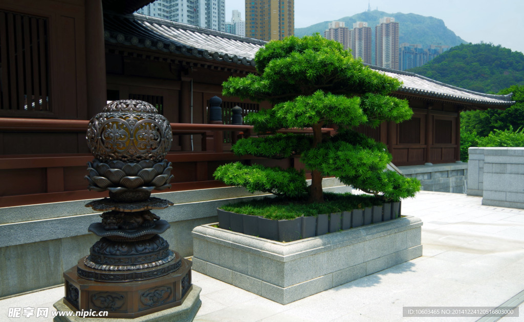 建筑风景志莲净苑