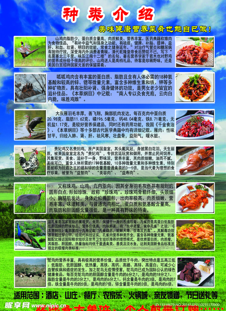 珍禽野味宣传彩页