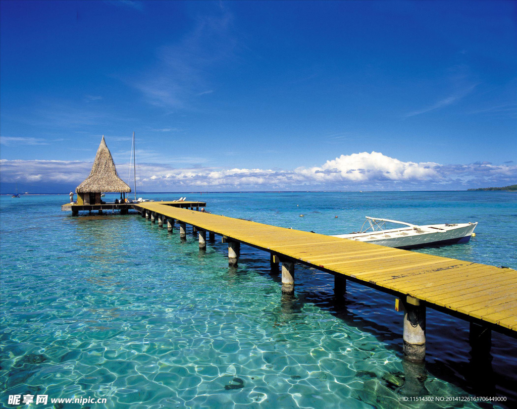 避风港美丽的一面