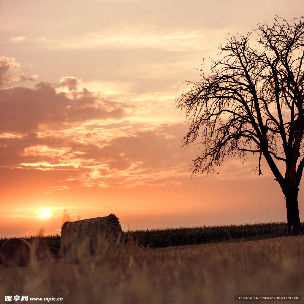 奥林匹克公园夕阳