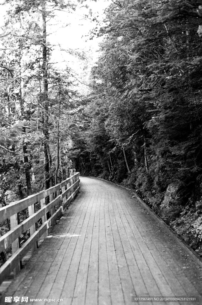 奥林匹克公园风光