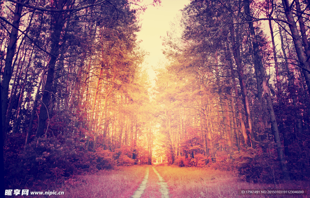 奥林匹克公园夕阳