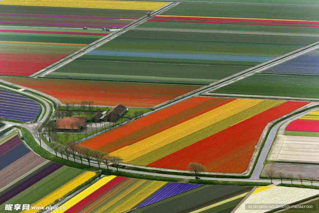 色彩缤纷的田野