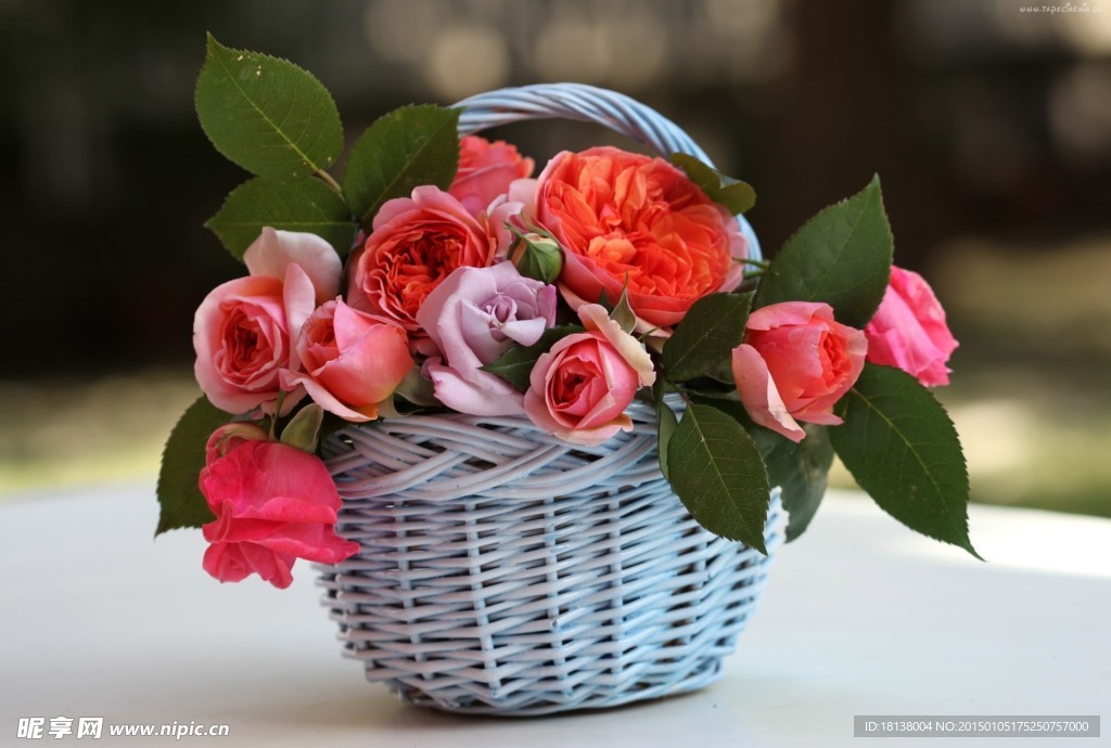 玫瑰花篮