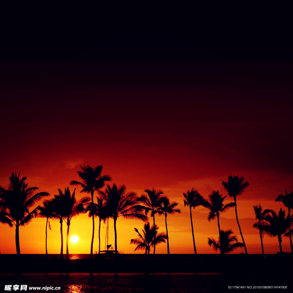 奥林匹克公园夕阳