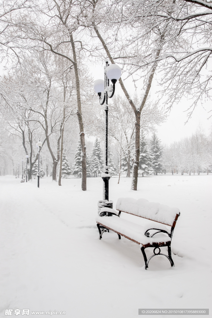 雪中长椅