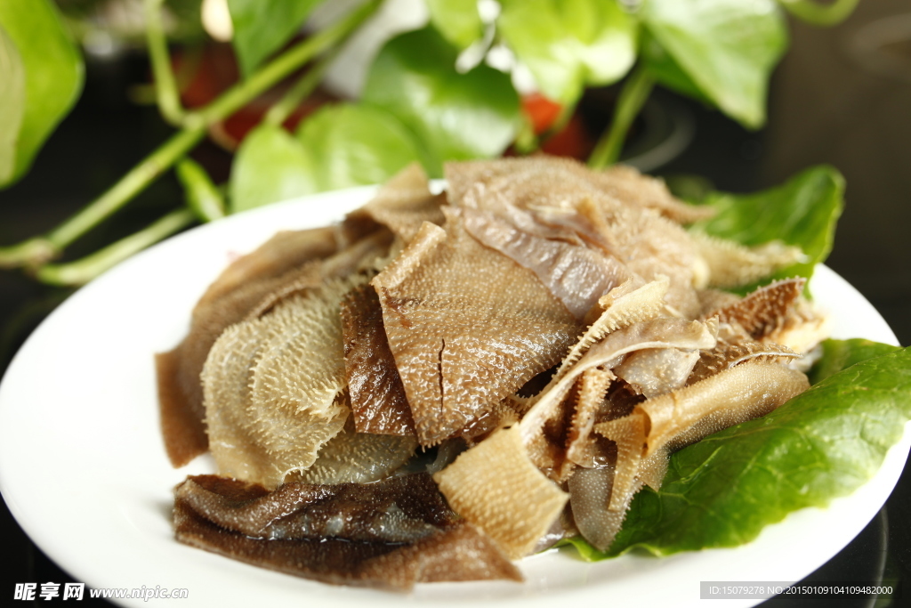 火锅 毛肚 绿毛肚