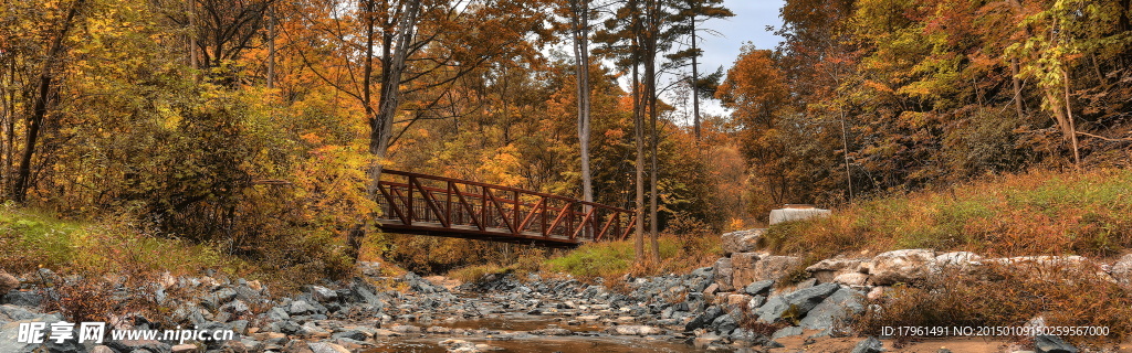 奥林匹克公园树林