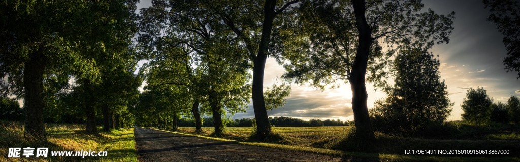 奥林匹克公园夕阳