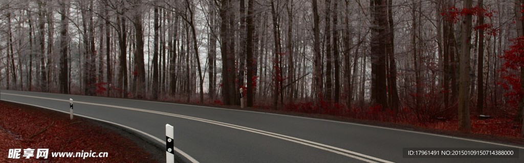 奥林匹克公园树林