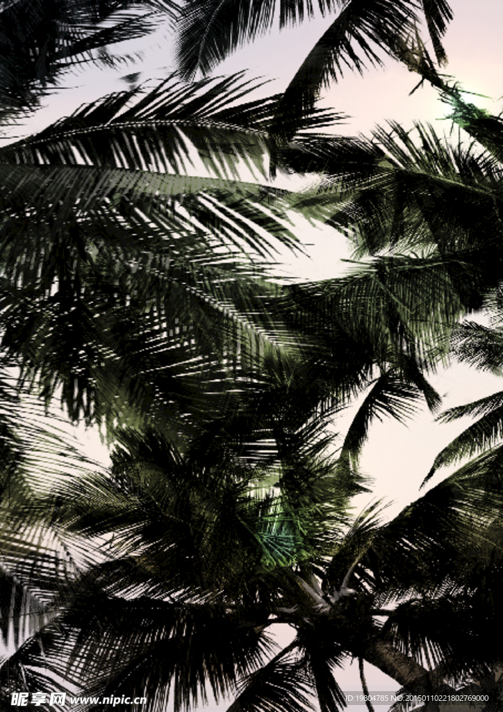 数码矢量分层夏威夷印花