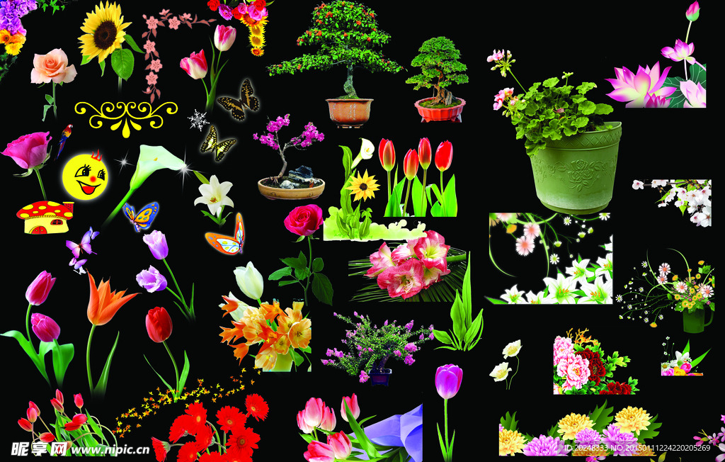 花朵盆景荷花郁金香玫瑰花牡丹花