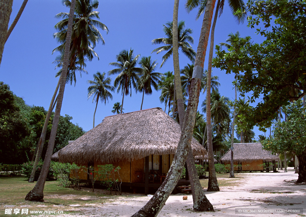 椰子树三亚建筑