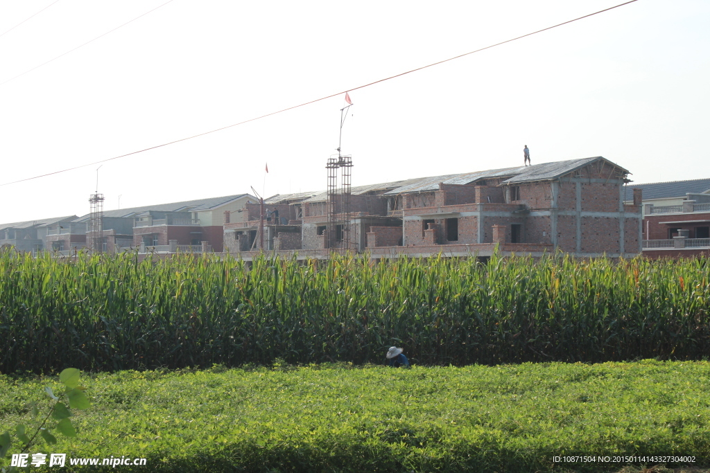 花生 新型社区建设