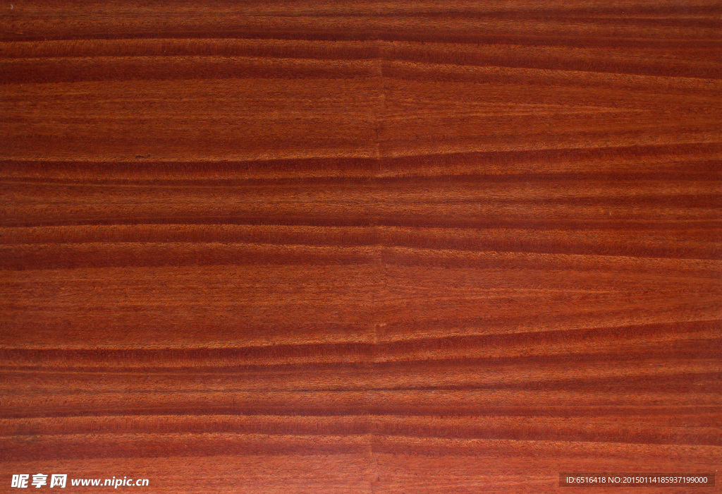 原木木材纹理摄影