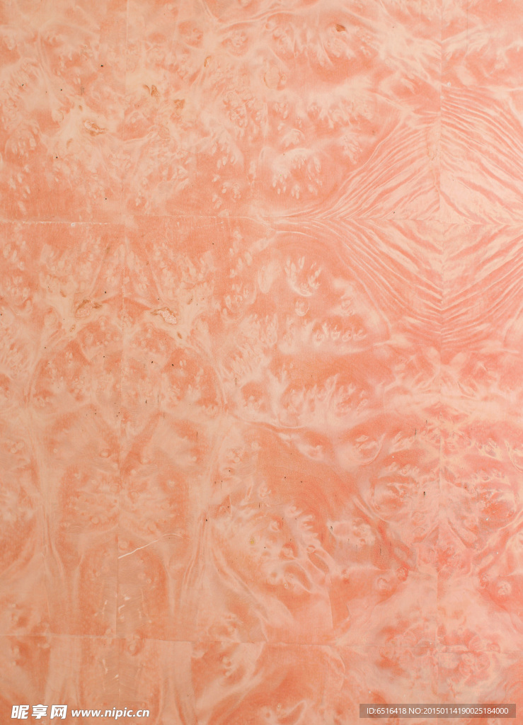 原木木材纹理摄影