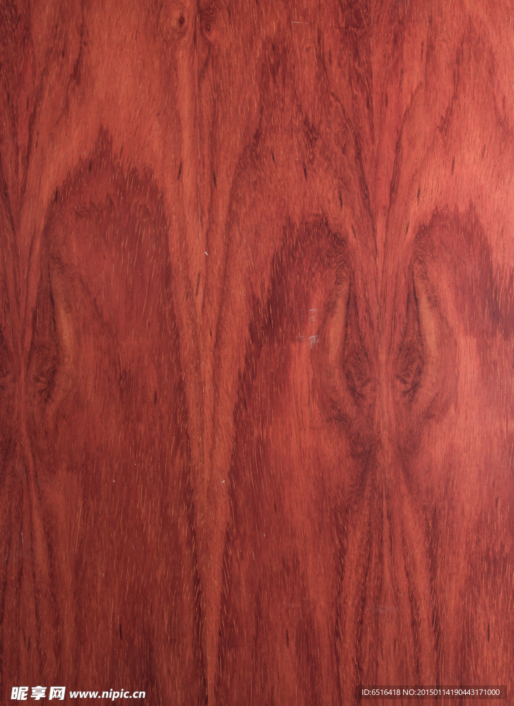 原木木材纹理摄影