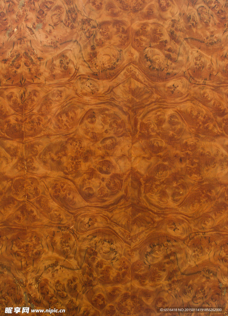 原木木材纹理摄影