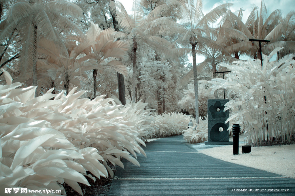 奥林匹克公园风光