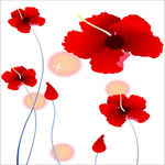 推拉门 红花 花朵