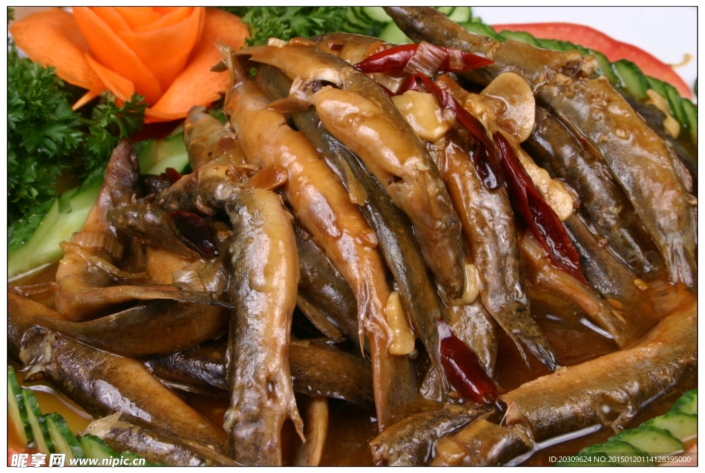 酱焖泥鳅人北东