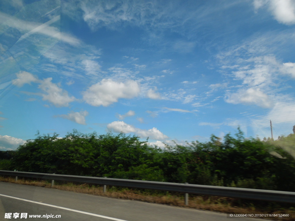 路途上的蓝天树林