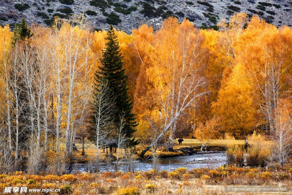 可可托海国家公园
